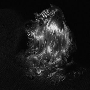 Meet your Posher, Freda